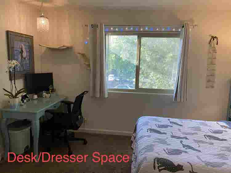 Roommate 1 Bedroom/Shared Bathroom