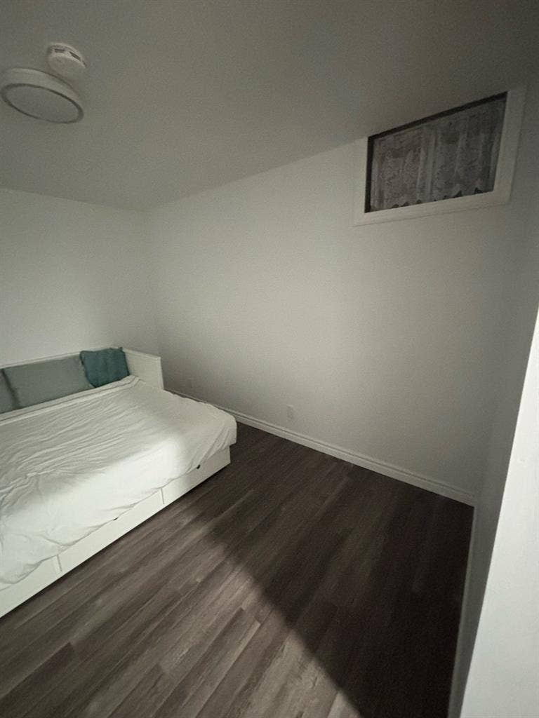 Need a clean roommate