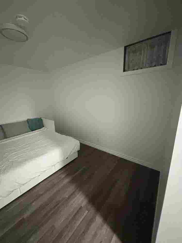 Need a clean roommate