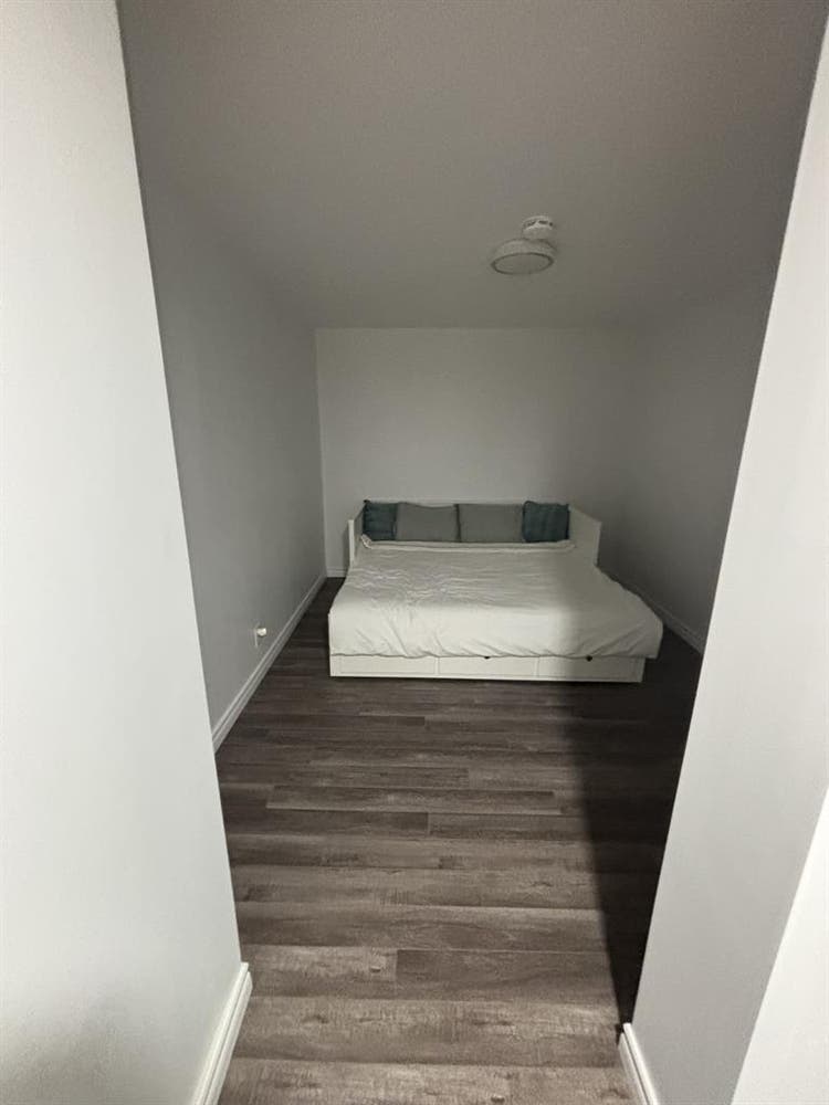 Need a clean roommate