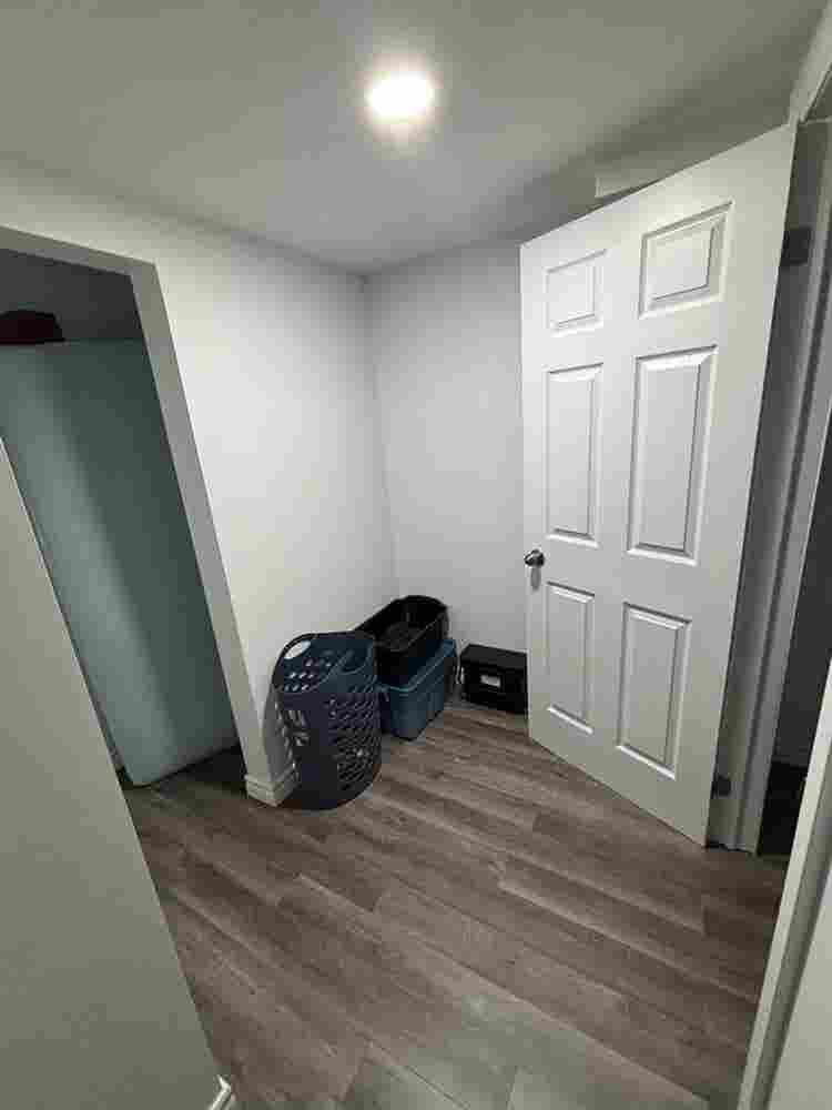 Need a clean roommate