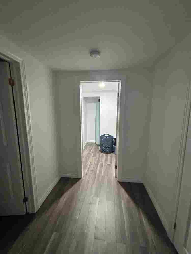 Need a clean roommate