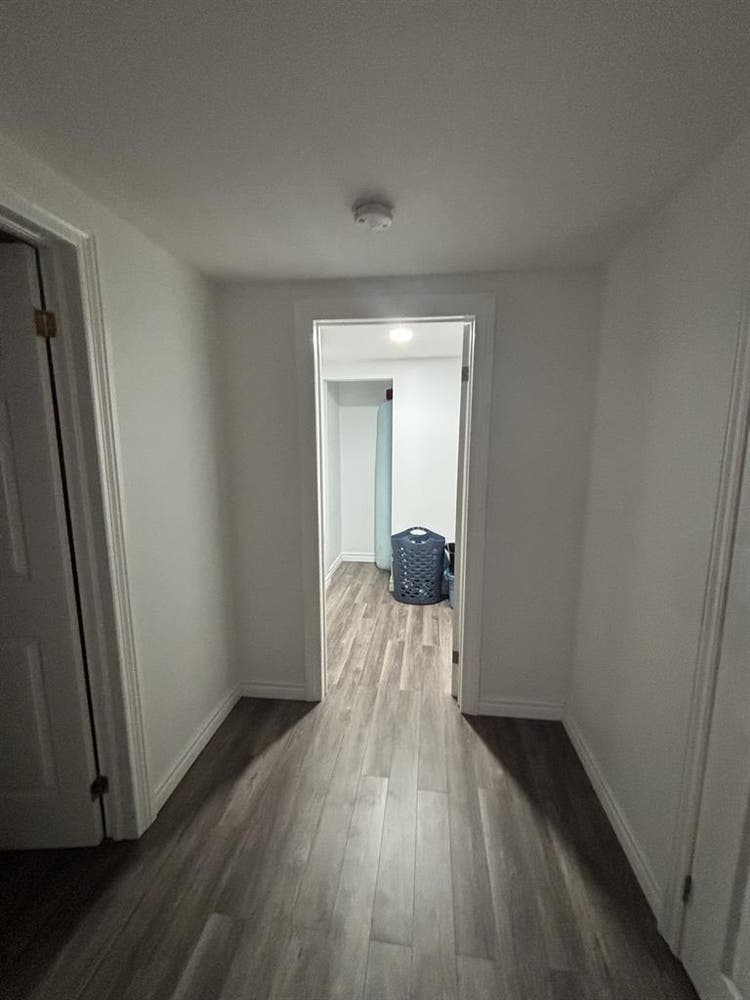 Need a clean roommate