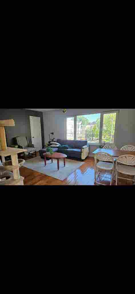 Biggest room in APT but cozy!