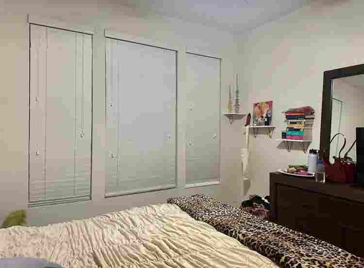 Looking for a Roommatee