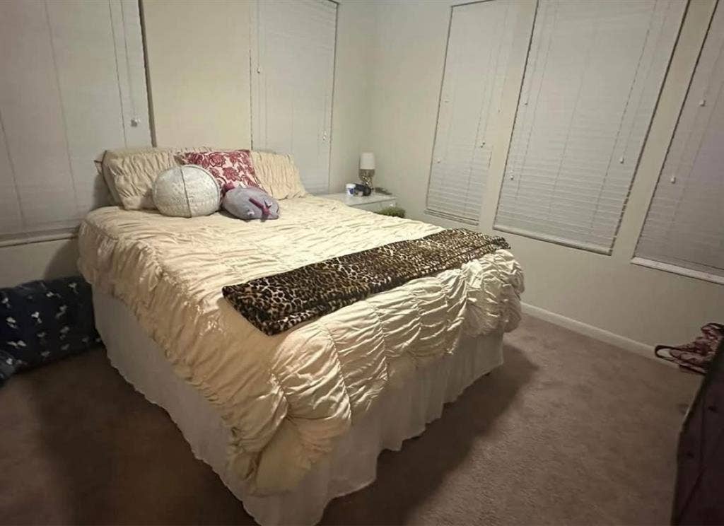 Looking for a Roommatee