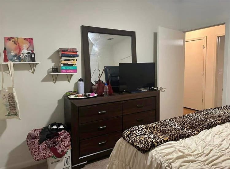 Looking for a Roommatee