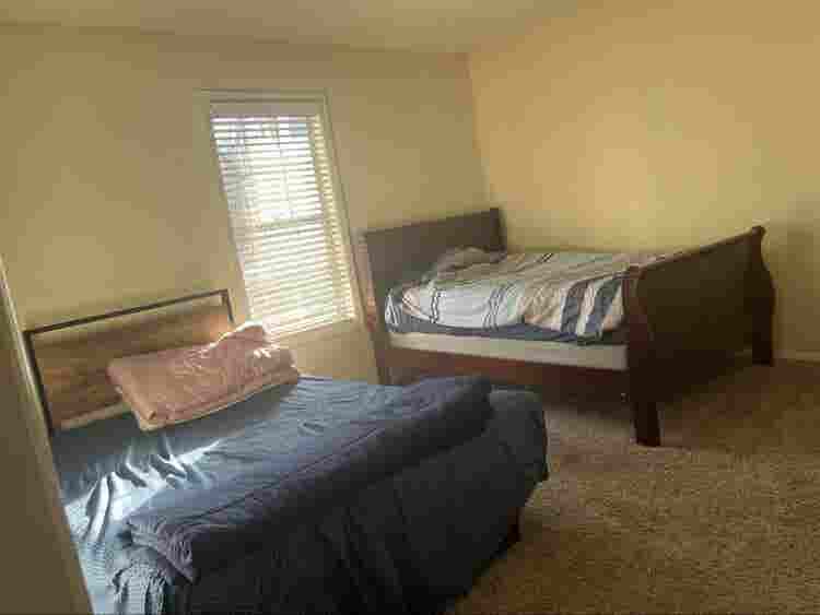 Roommate in sharing