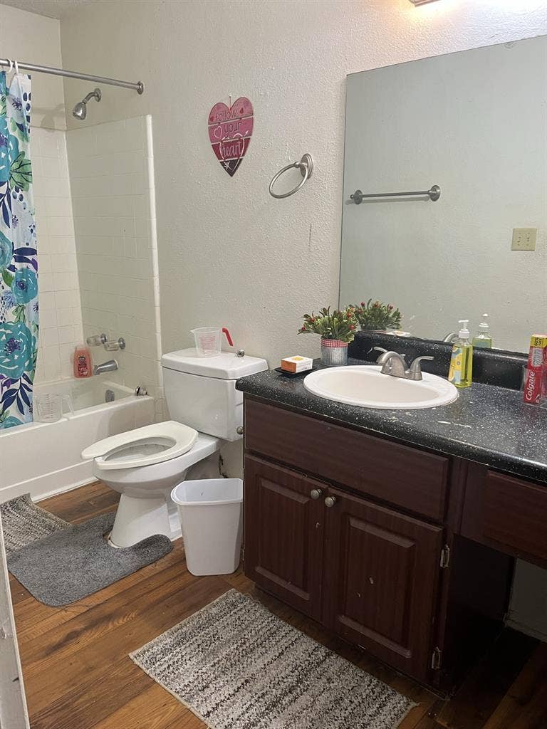 Roommate in sharing