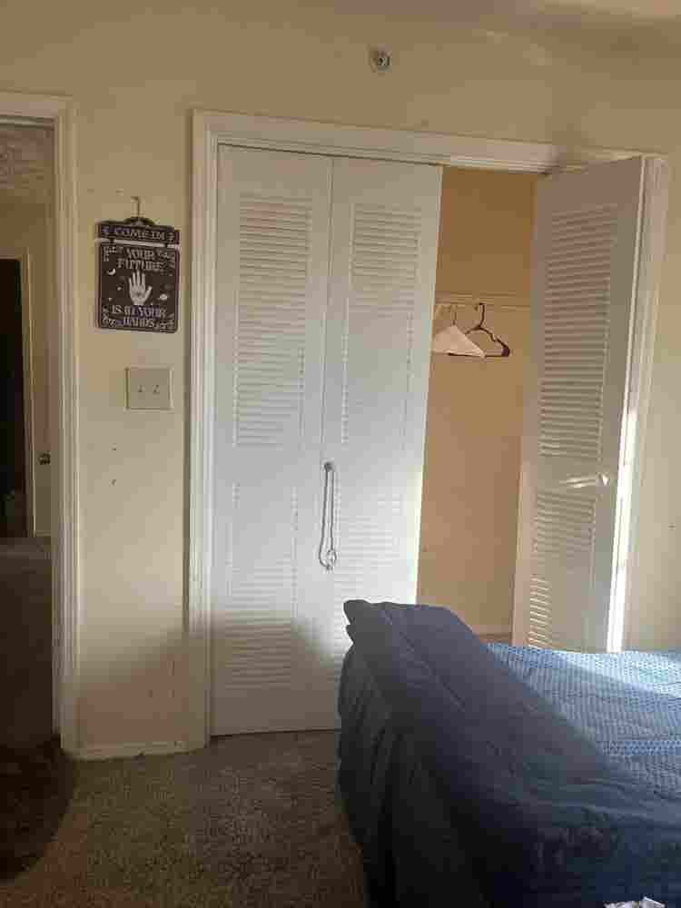 Roommate in sharing