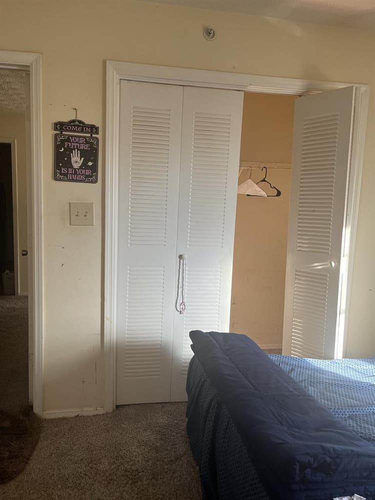 Roommate in sharing