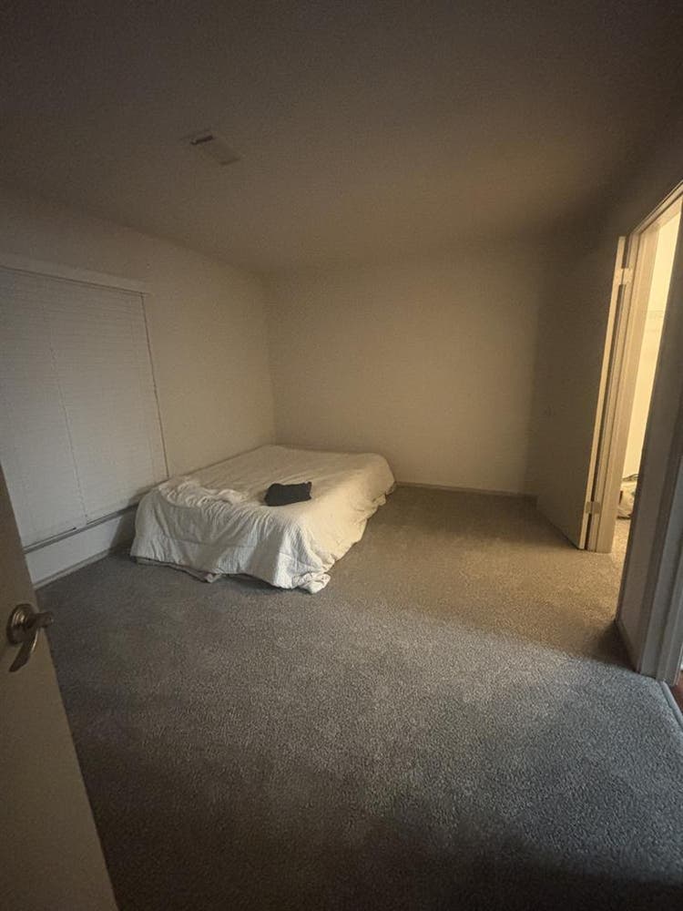Roommate