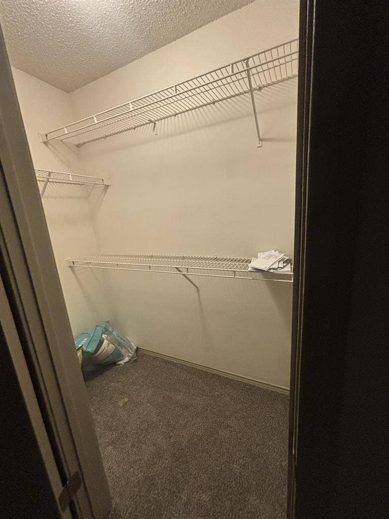 Roommate