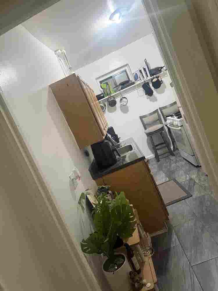 Large Room Available In South Bronx