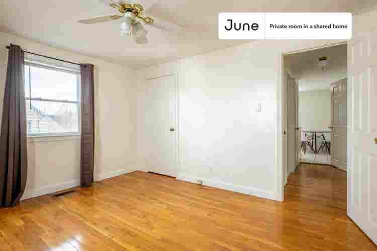 5 BR in Boston