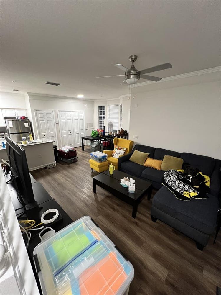 Seeking Roommate- MetroWest