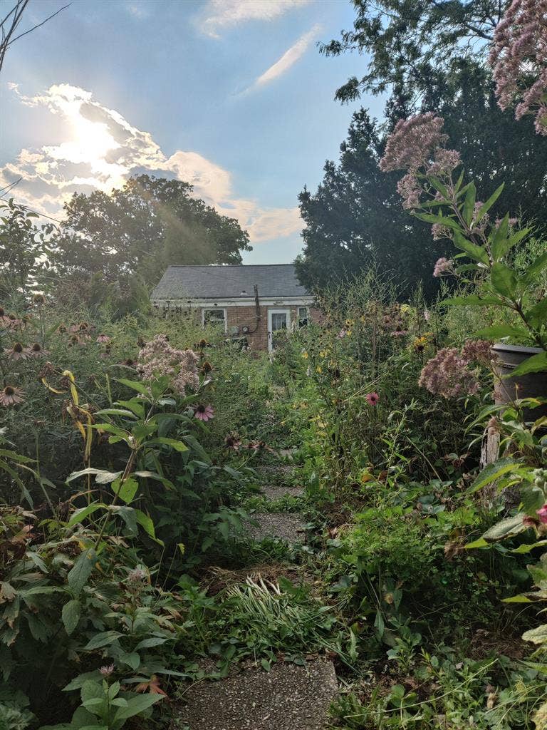 Cottage in Homewood, Women/LGBT.