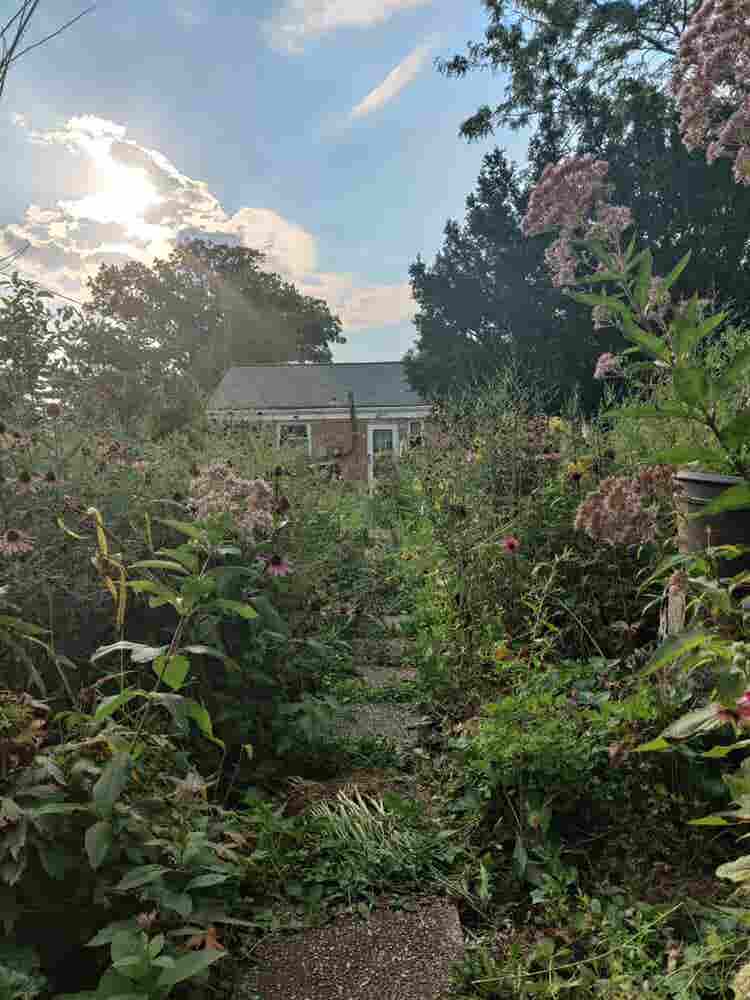 Cottage in Homewood, Women/LGBT.