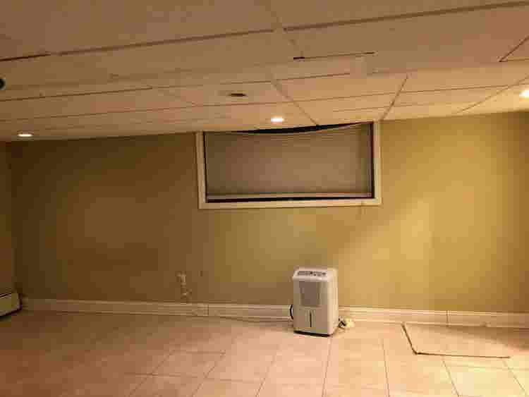 Basement Apartment Private.