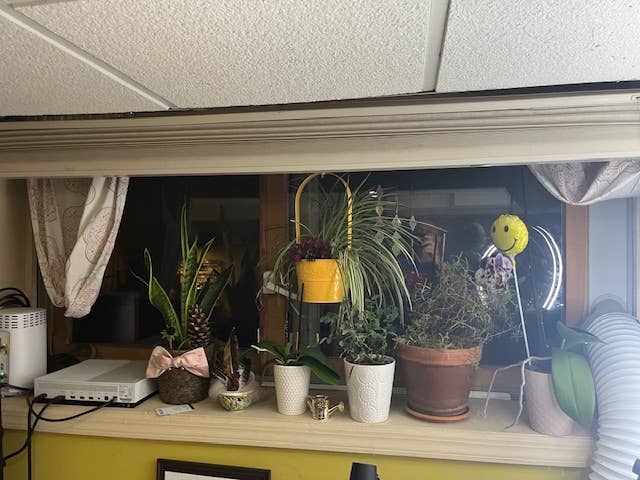 Basement Apartment Private.