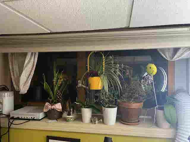 Basement Apartment Private.