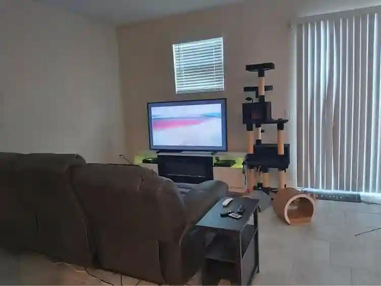 Chill Room | Pet & Friendly 🌈