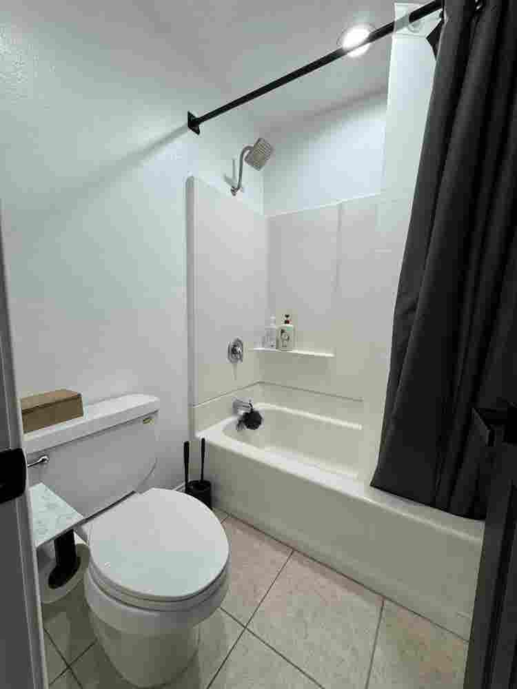 Looking for roommates!