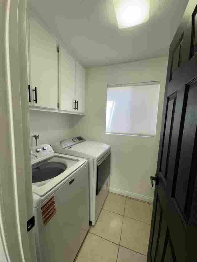 Looking for roommates!
