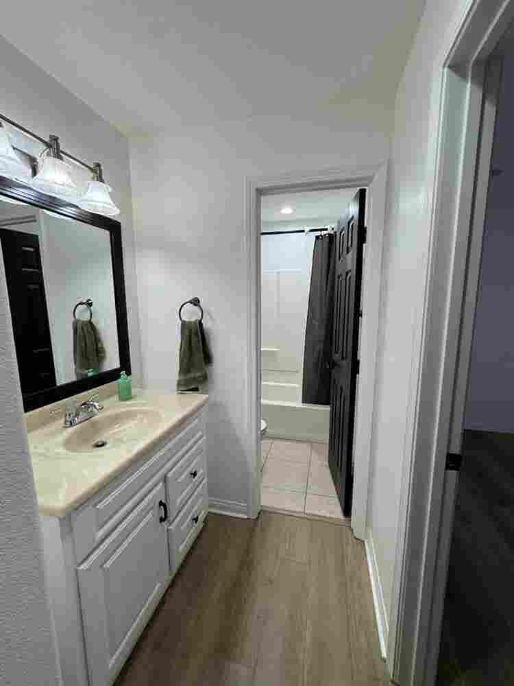 Looking for roommates!