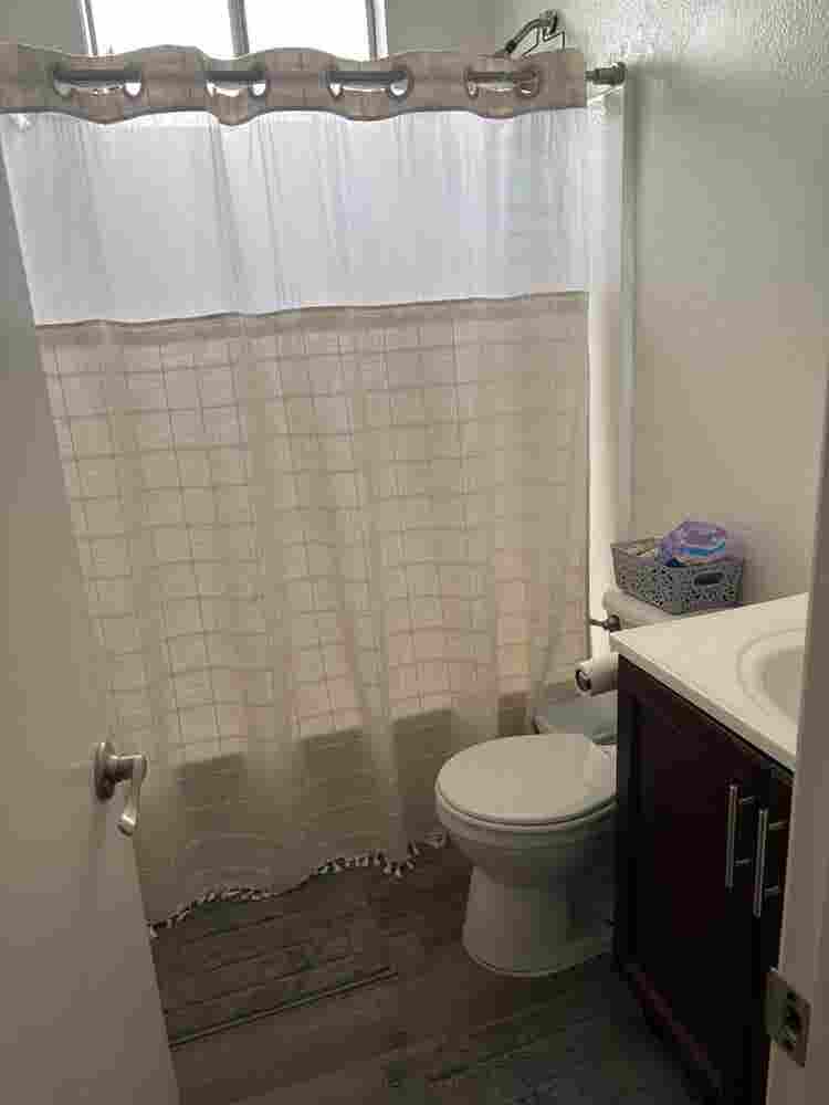 Shared bedroom available