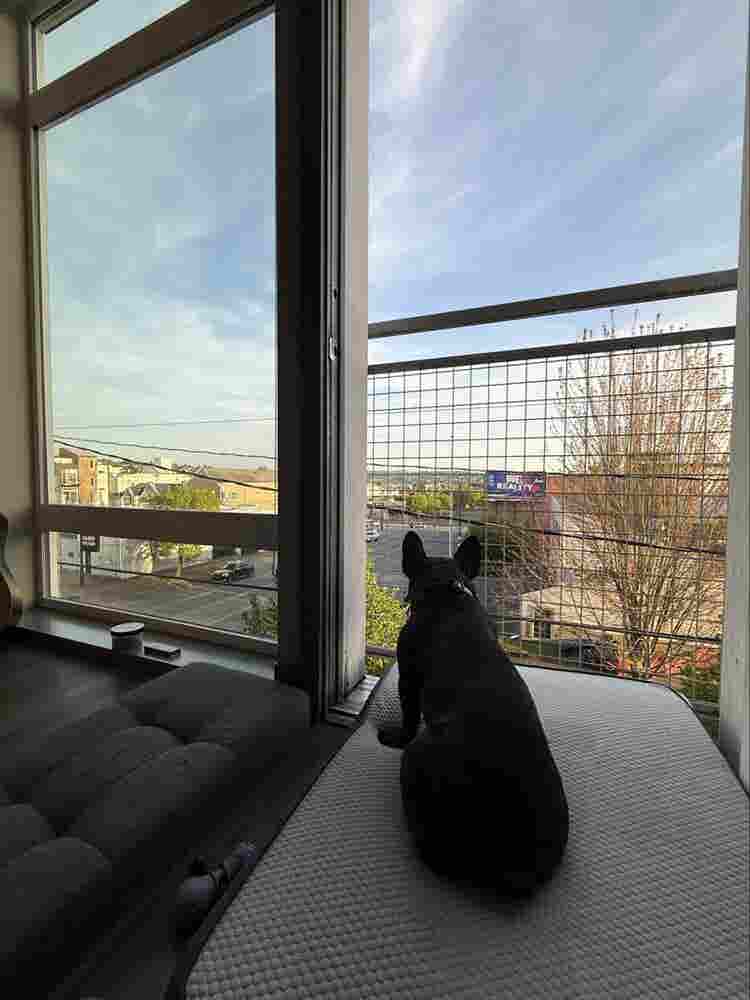 Sunny Ballard Studio 
2 Month Sublet