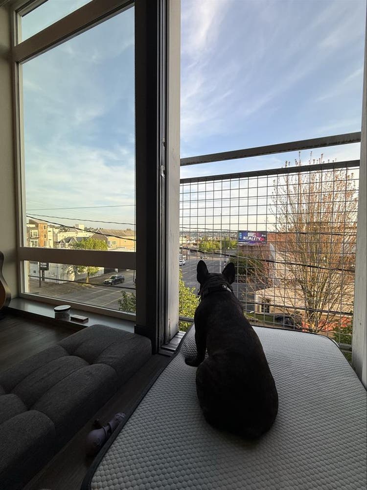 Sunny Ballard Studio 
2 Month Sublet