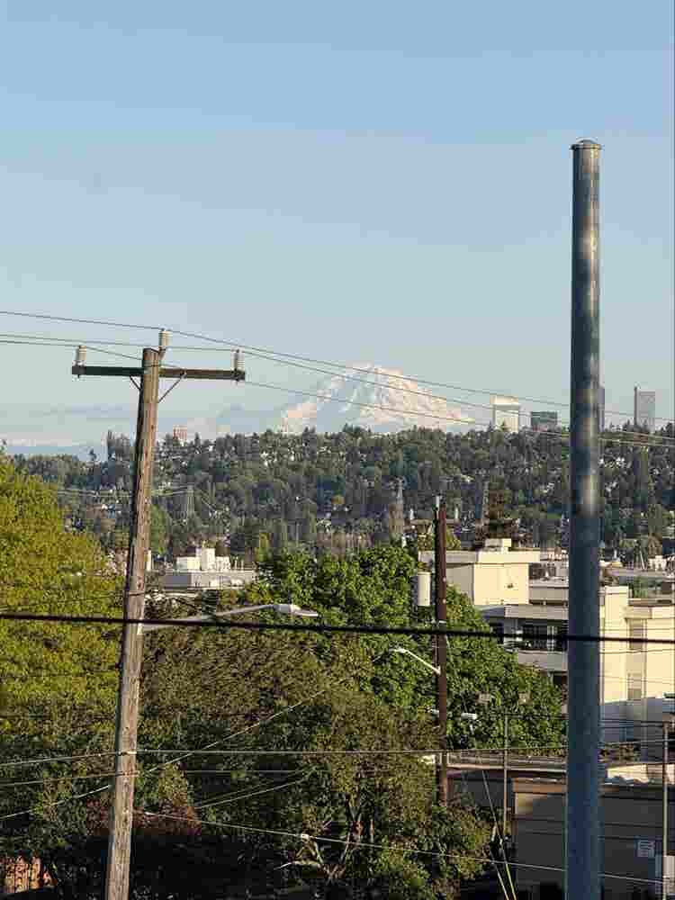 Sunny Ballard Studio 
2 Month Sublet