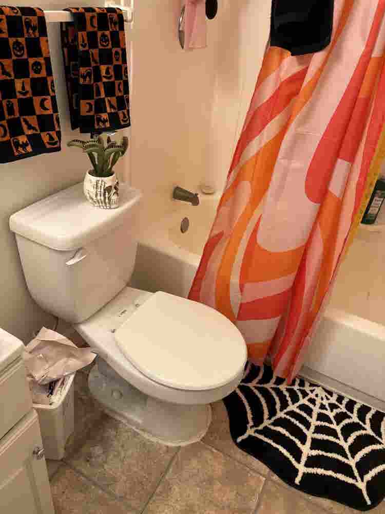 Looking for a roommate