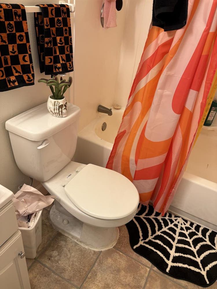 Looking for a roommate