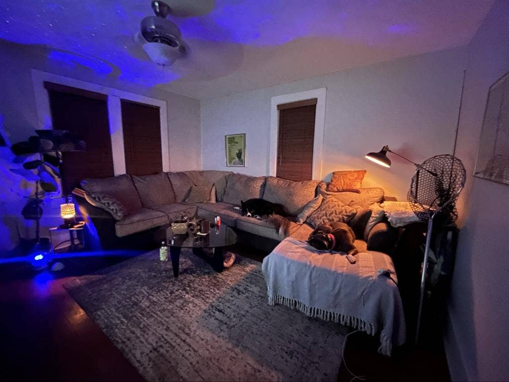 Cute House in East Nashville!