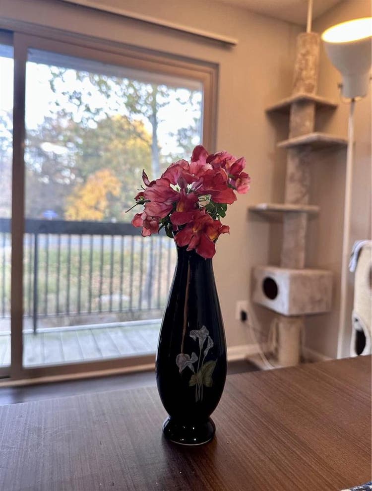 Reston BA - Pets friendly