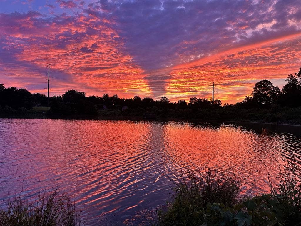 Reston BA - Pets friendly