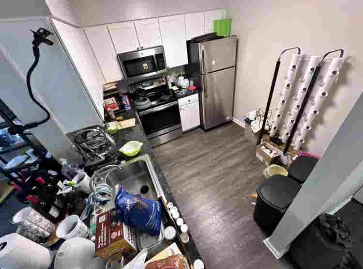 Reston BA - Pets friendly