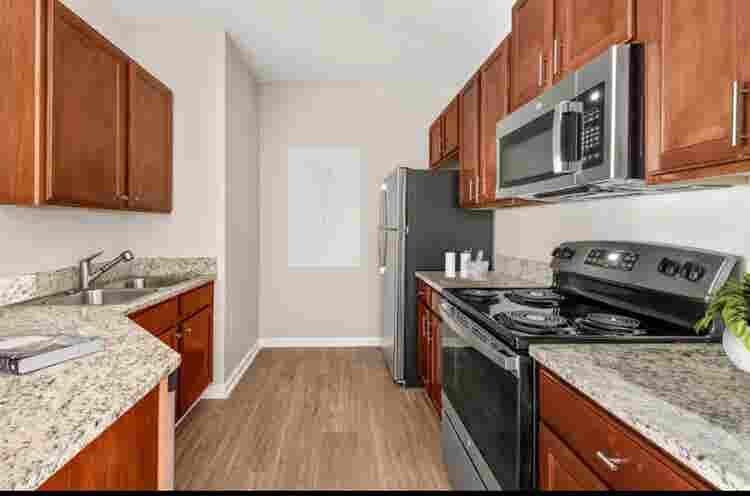1 bedroom apartment
