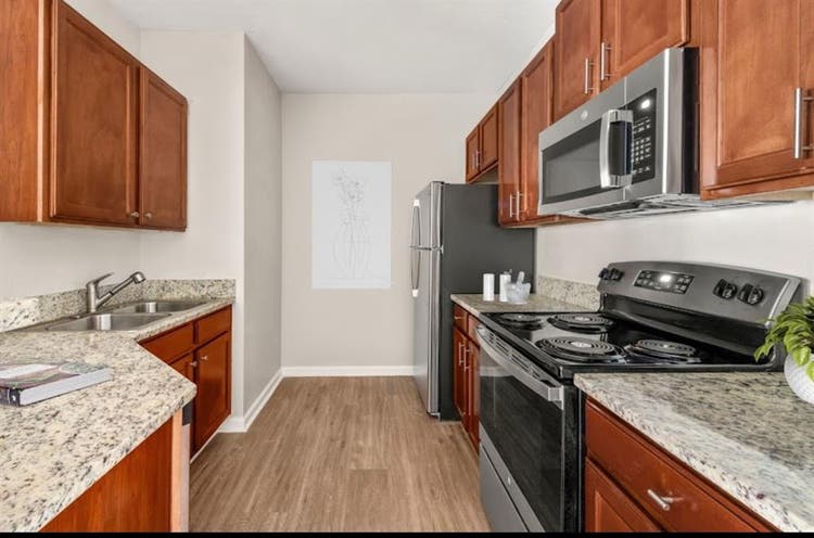 1 bedroom apartment