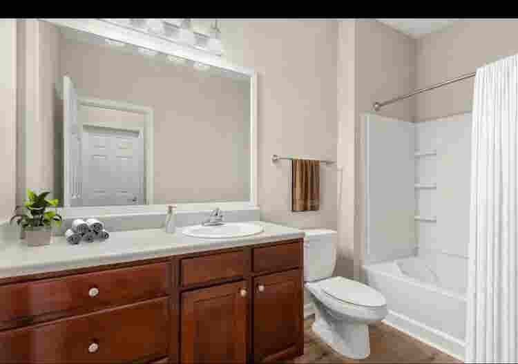 1 bedroom apartment