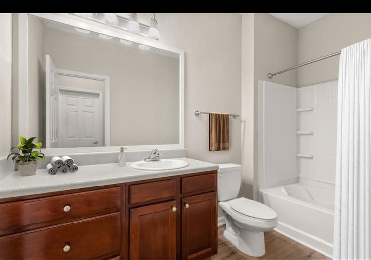 1 bedroom apartment