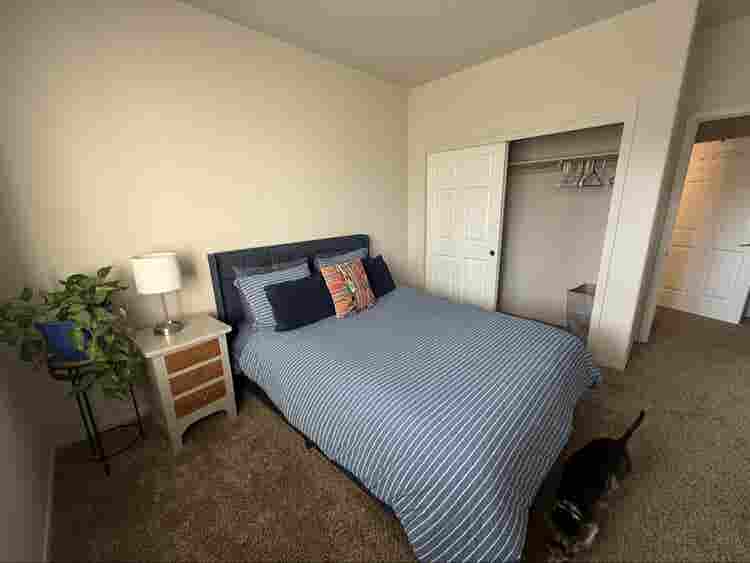 Private room/bath in Truckee