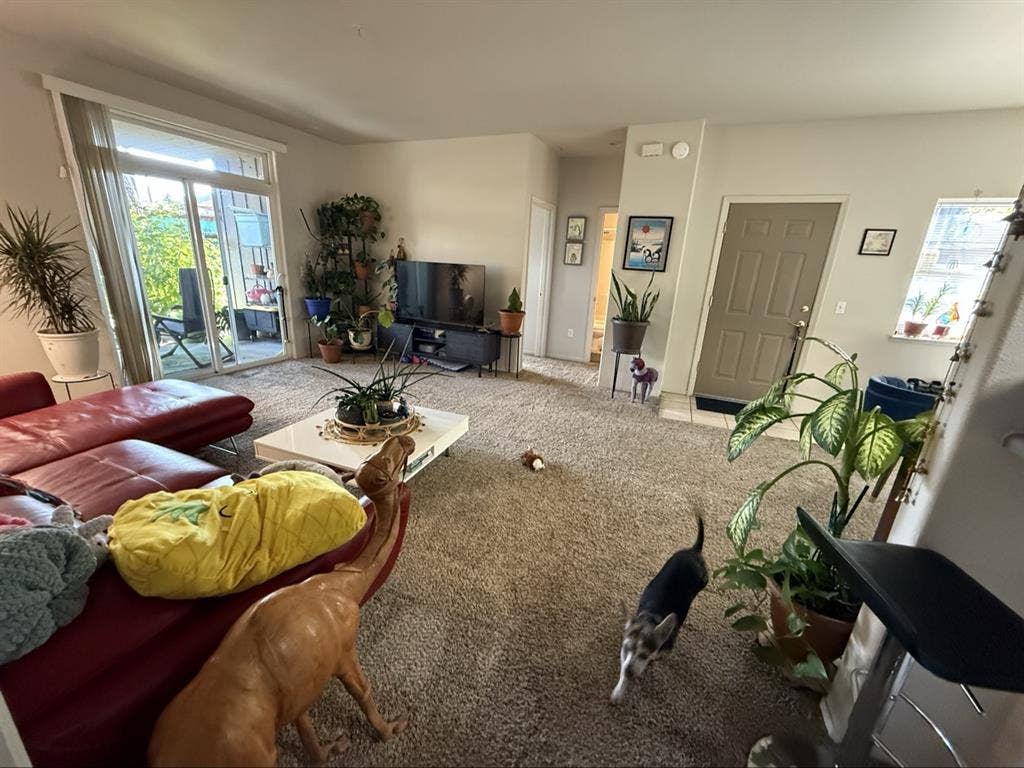 Private room/bath in Truckee