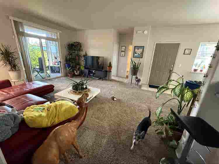 Private room/bath in Truckee
