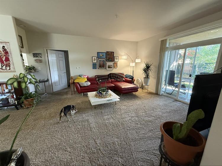 Private room/bath in Truckee