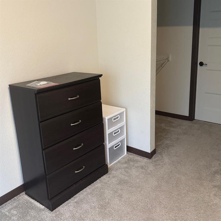 Roommate Wanted!