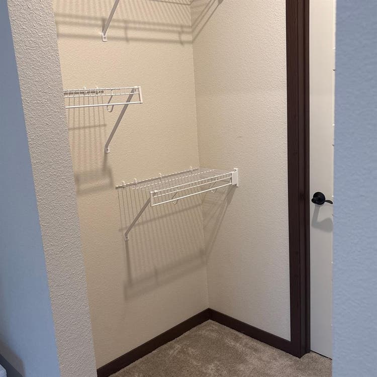 Roommate Wanted!