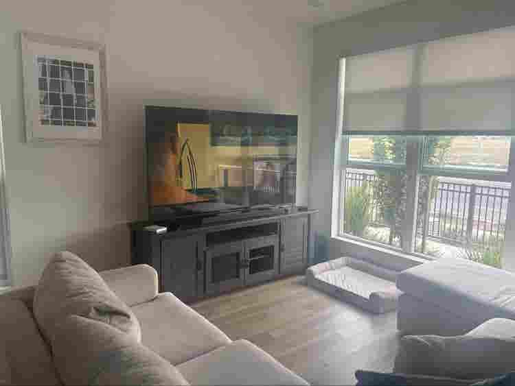 Looking for a roommate clea